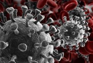 coronavirus.jpg